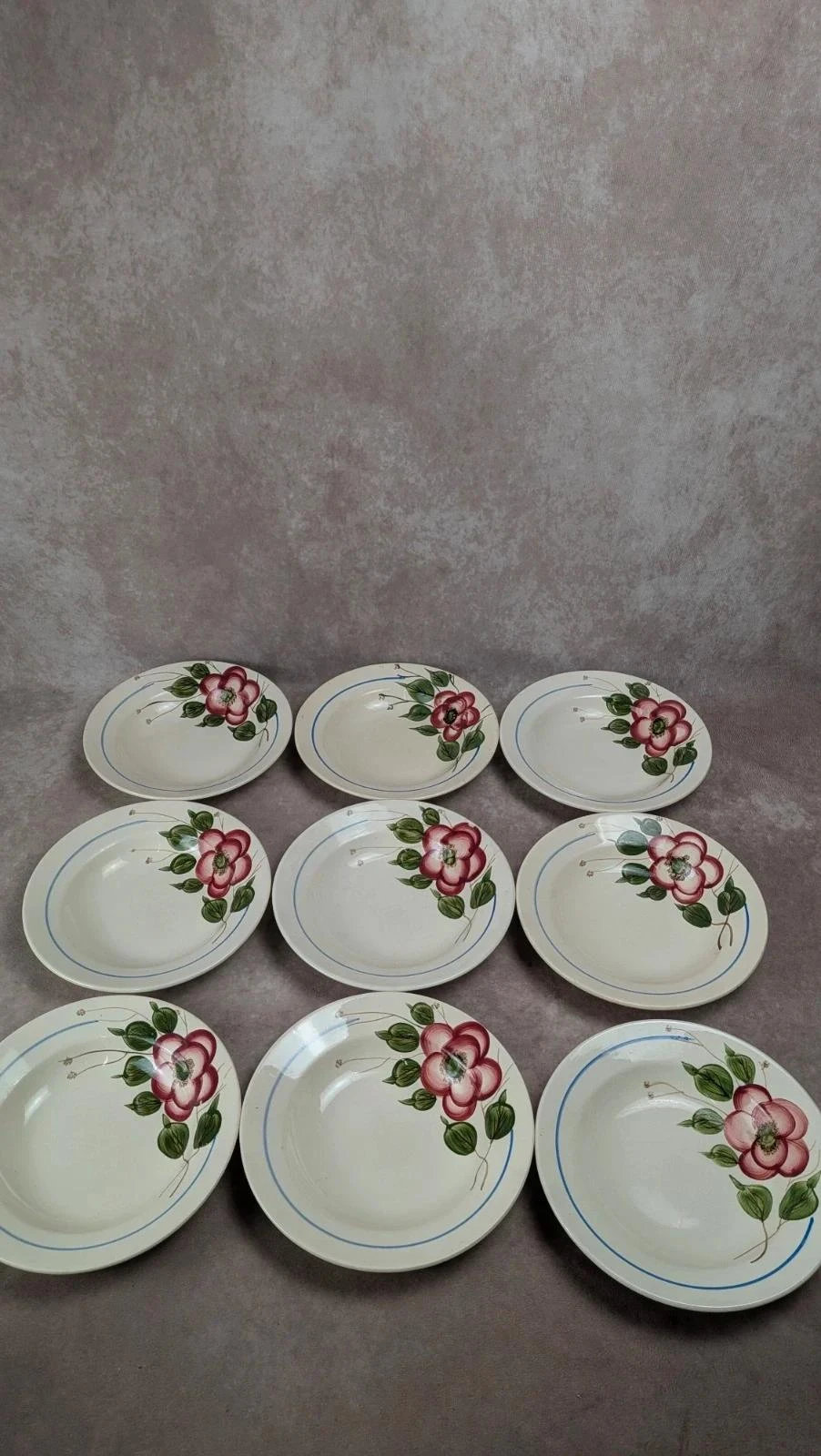 Set of 9 Sarreguemines Liliane model hollow plates – photo 2